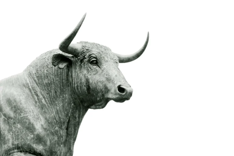 Anticipation and Uncertainty in the Global IPO Market