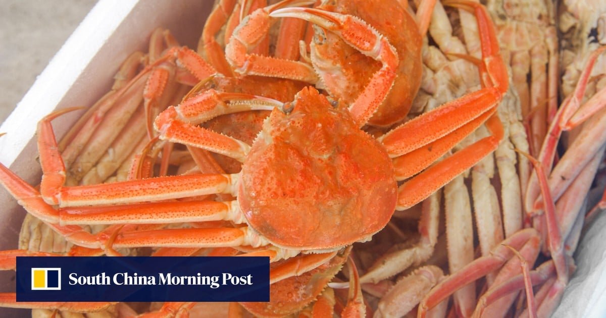Korea’s snow crab capital a winter tourist draw with festival celebrating the crustacean